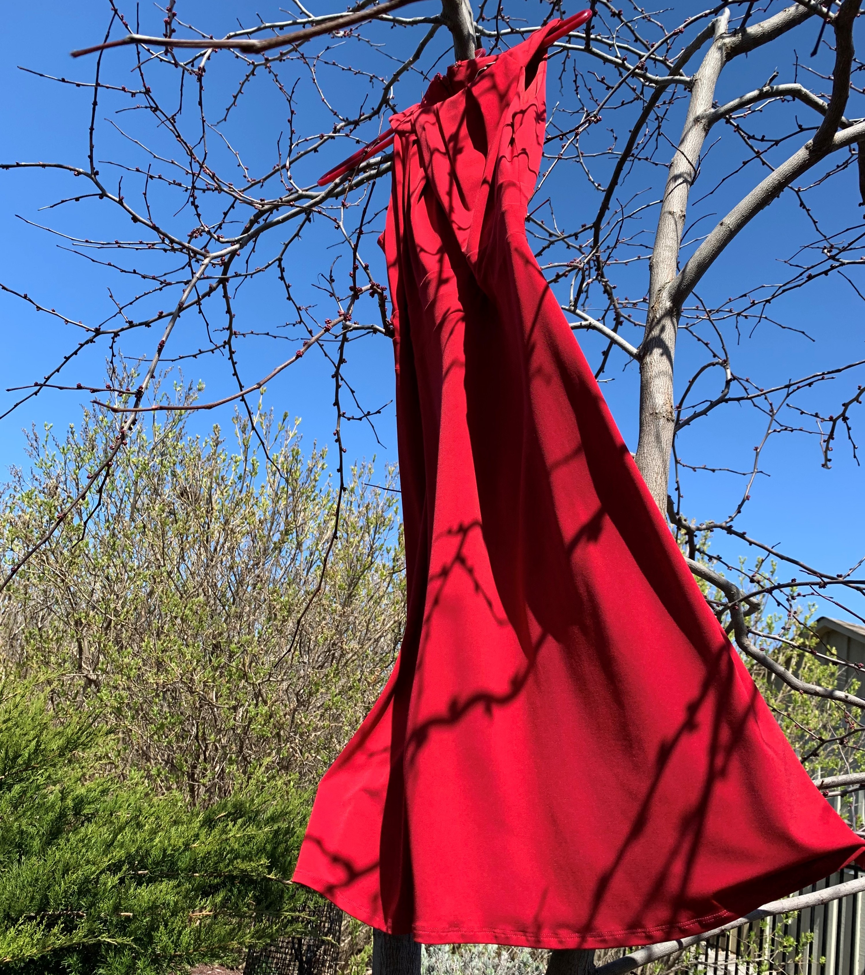 Long red dress hanging from the branch of a tree.