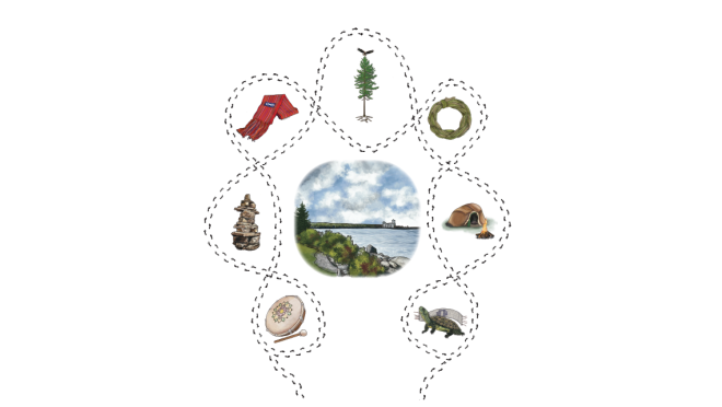 Healing Forest Teachings Illustrations