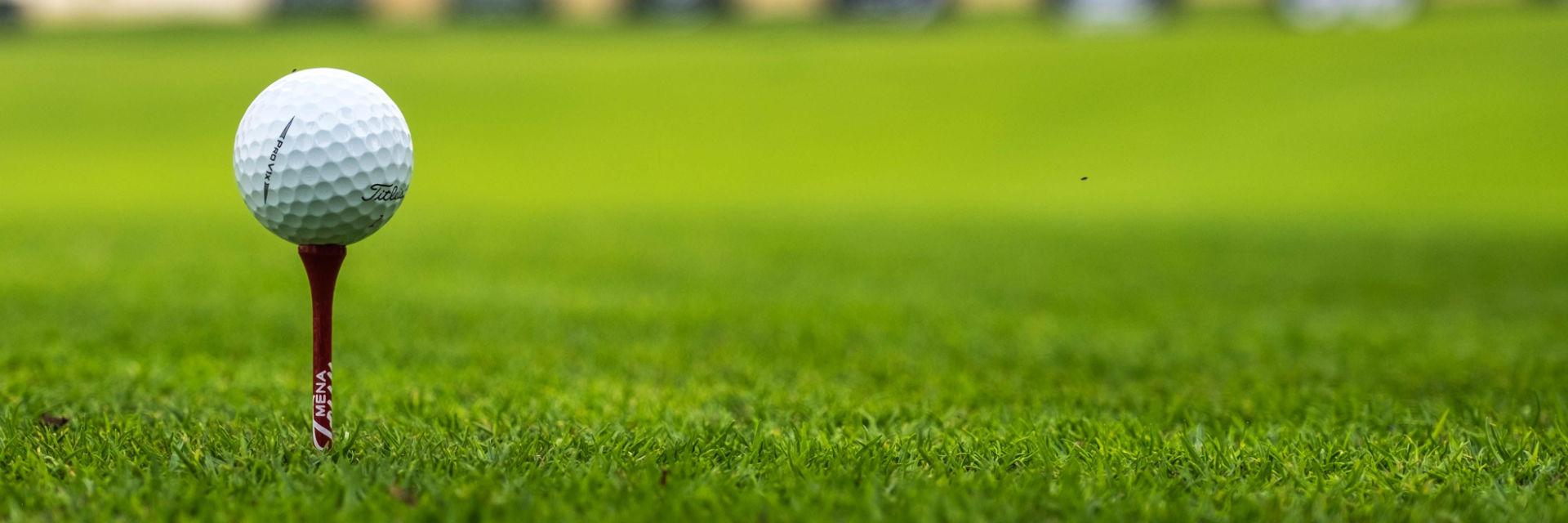 Mayors Golf