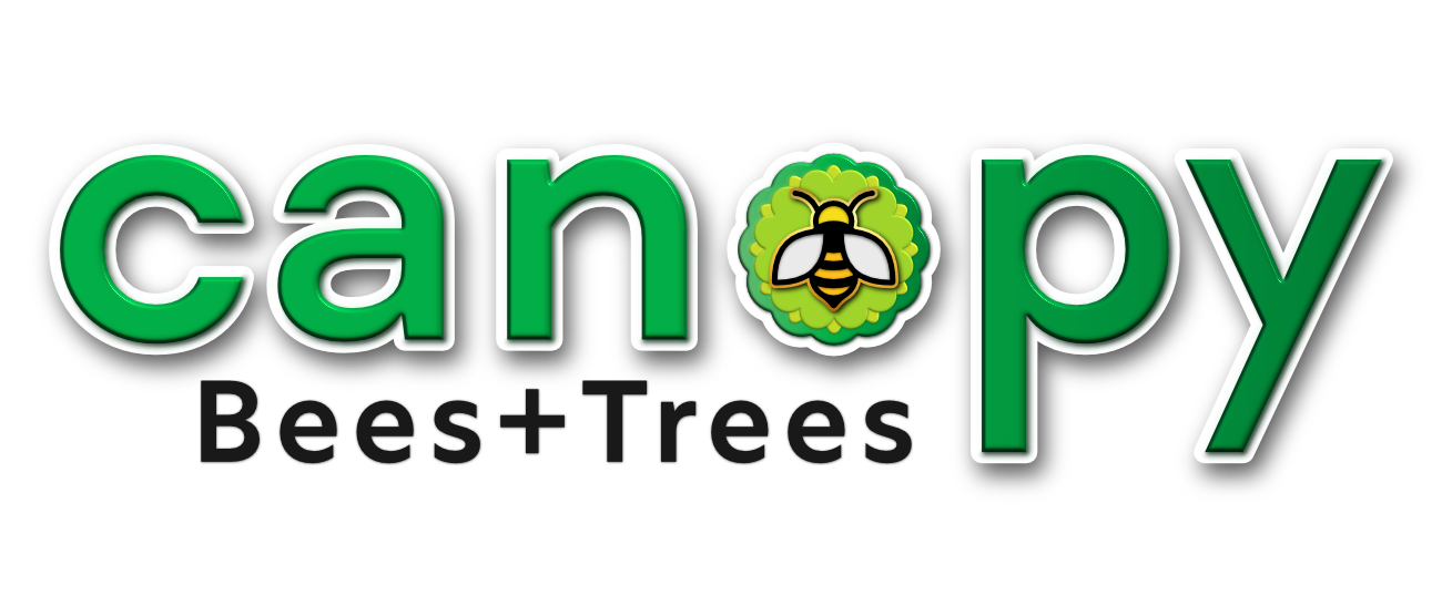 Canopy Collingwood: Bees and Trees Logo