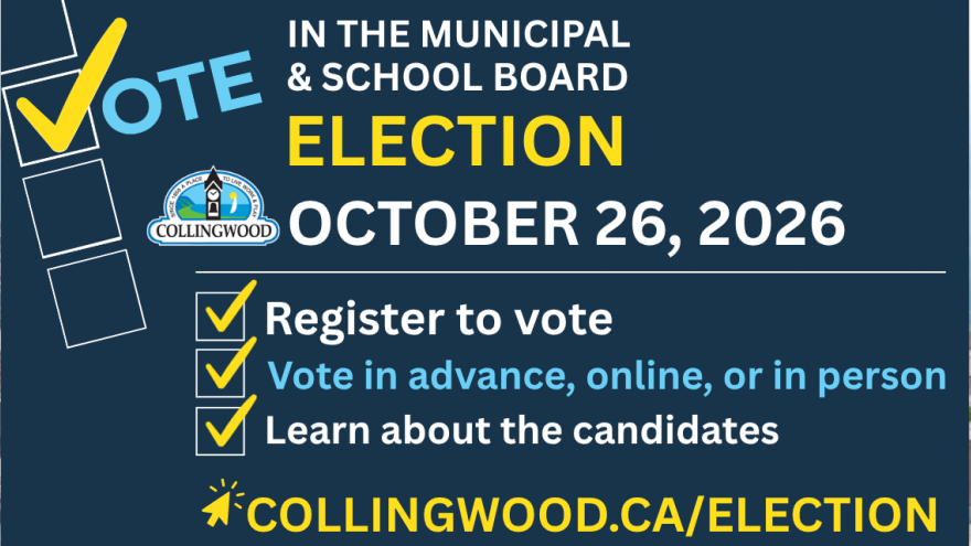 municipal election information