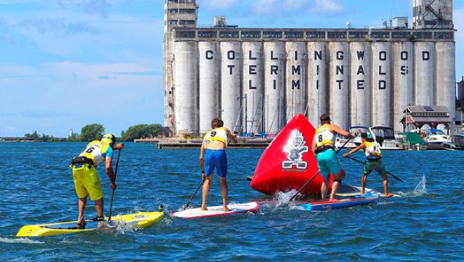Four stand-up paddle boarders on the water with the Collingwood Terminals building in the background